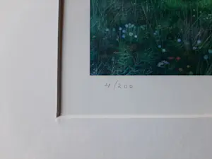 Gerrie Wachtmeester - Litho, titel, Huis de Wolf kopen? Bied vanaf 80!