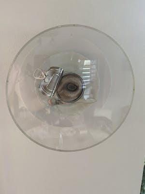 Les Deux Garçons - L’entrée II kopen? Bied vanaf 4000!