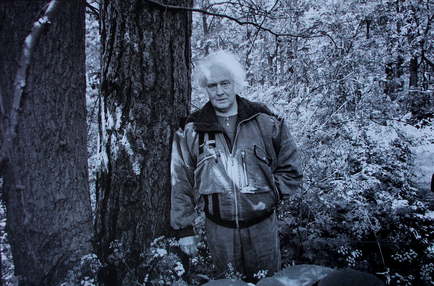 Steye Raviez - Foto: Jan Wolkers verkocht voor € 40!