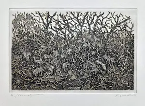 Willem Minderman - Planten, ets kopen? Bied vanaf 45!