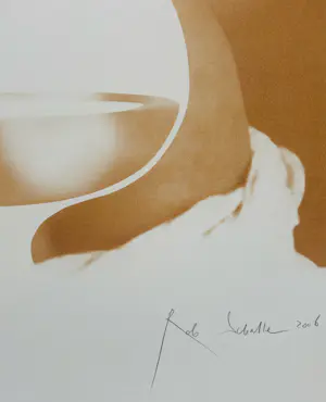 Rob Scholte - Cascade kopen? Bied vanaf 50!