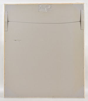 Ellen Meuwese - Papegaaien - Ingelijste zeefdruk kopen? Bied vanaf 1!