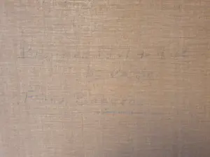 Frans Baaijens - Bos bij Vasse kopen? Bied vanaf 145!