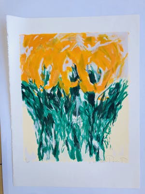 Michel Poort - Tulpen geel kopen? Bied vanaf 45!