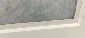 Kees Slegt - Grote ets, Zonder titel - Ingelijst (Zeer Groot!) kopen? Bied vanaf 1!