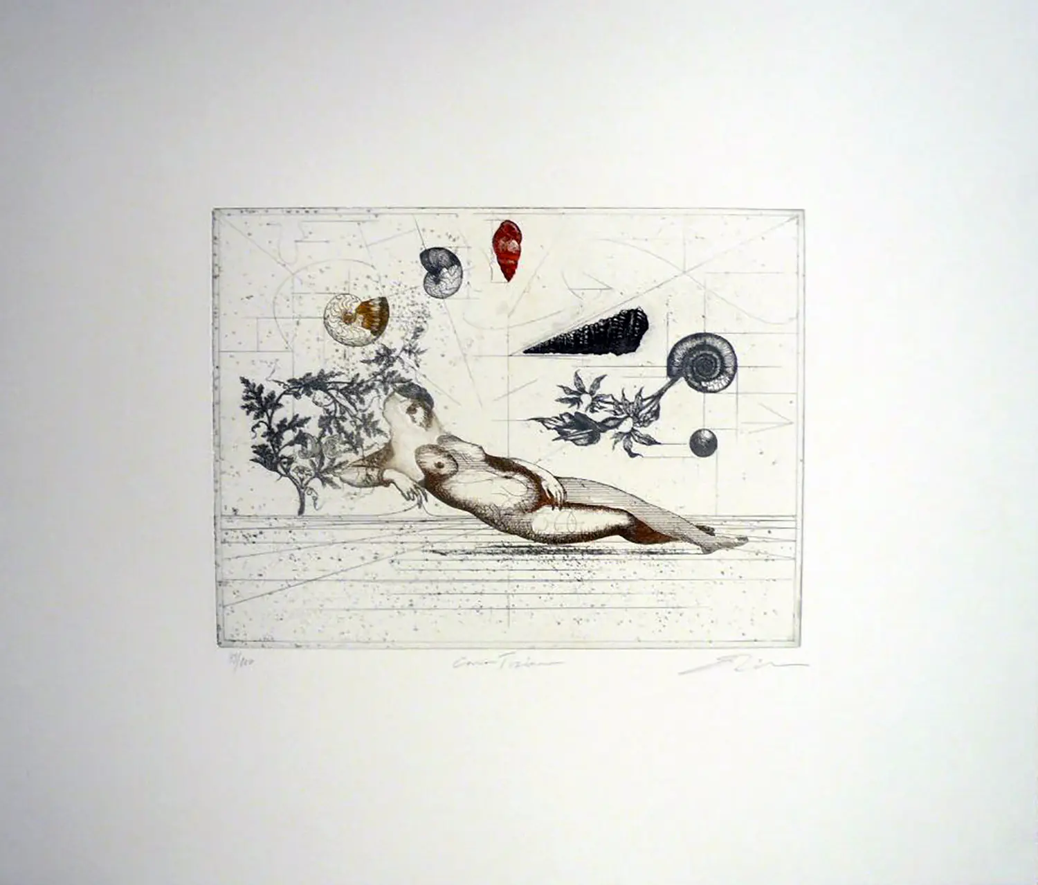 Dan Erceanu (1943-2021)