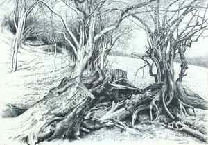 Patrick Creyghton - C1932-15, Boomstronk verkocht voor € 90!