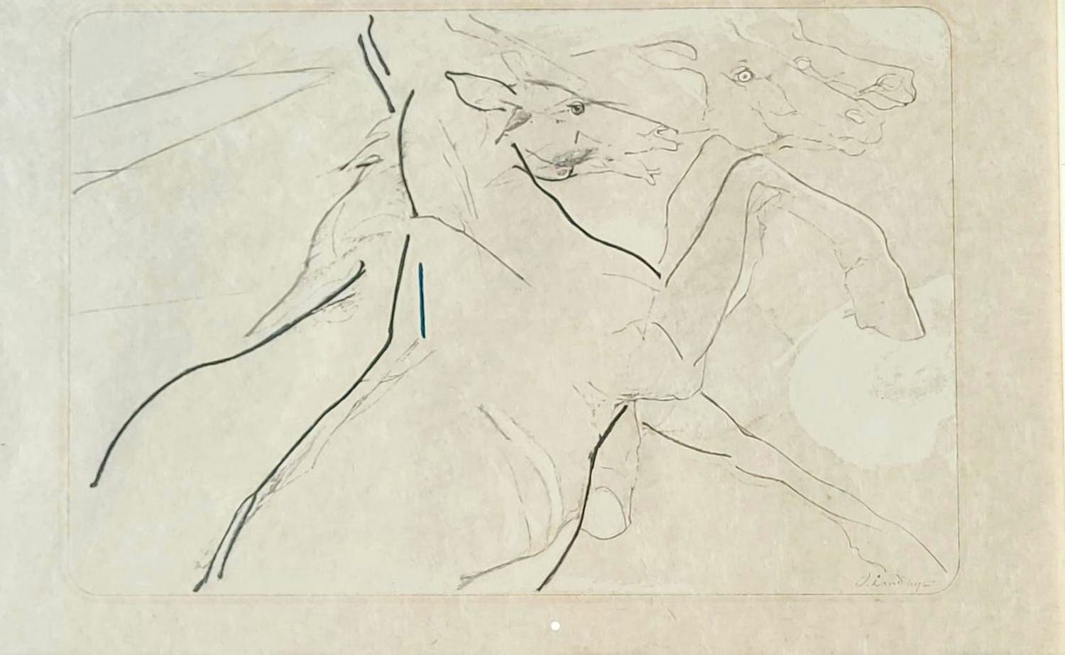 Octave Landuyt - paarden grootbrengen kopen? Bied vanaf 150!