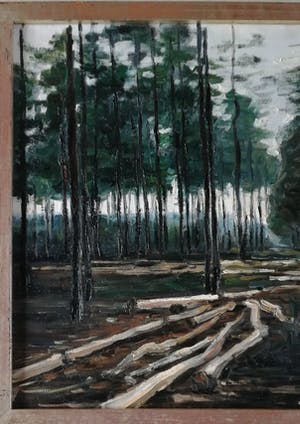 Anneke Boot - Veluwe, na de storm bij het Uddelermeer kopen? Bied vanaf 130!