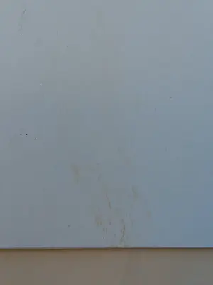 Andre Tigchelaar - eendjes kopen? Bied vanaf 74!