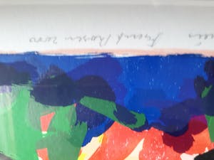 Frank Rosen - La douce Franse "Les Pyrénées ". kopen? Bied vanaf 50!