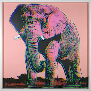 Andy Warhol - African Elephant uit de serie Endangered Species - Ingelijst (Groot) kaufen? Bieten Sie von 1!