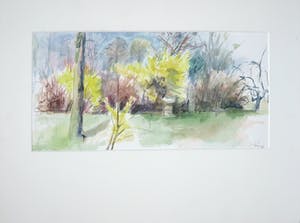 Franscz Witte - Aquarel, Boslandschap kopen? Bied vanaf 1!