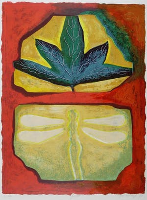 Jan van Delft - Fossiel - zeefdruk 30/100 - 19648 kopen? Bied vanaf 1!