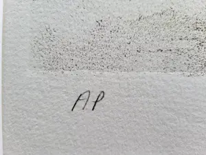 Salvador Dali - De telefoon. kopen? Bied vanaf 150!