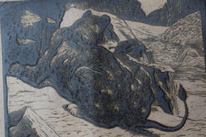 Antonius Hubertus Nordberg - Houtsnede - Leeuw kopen? Bied vanaf 60!