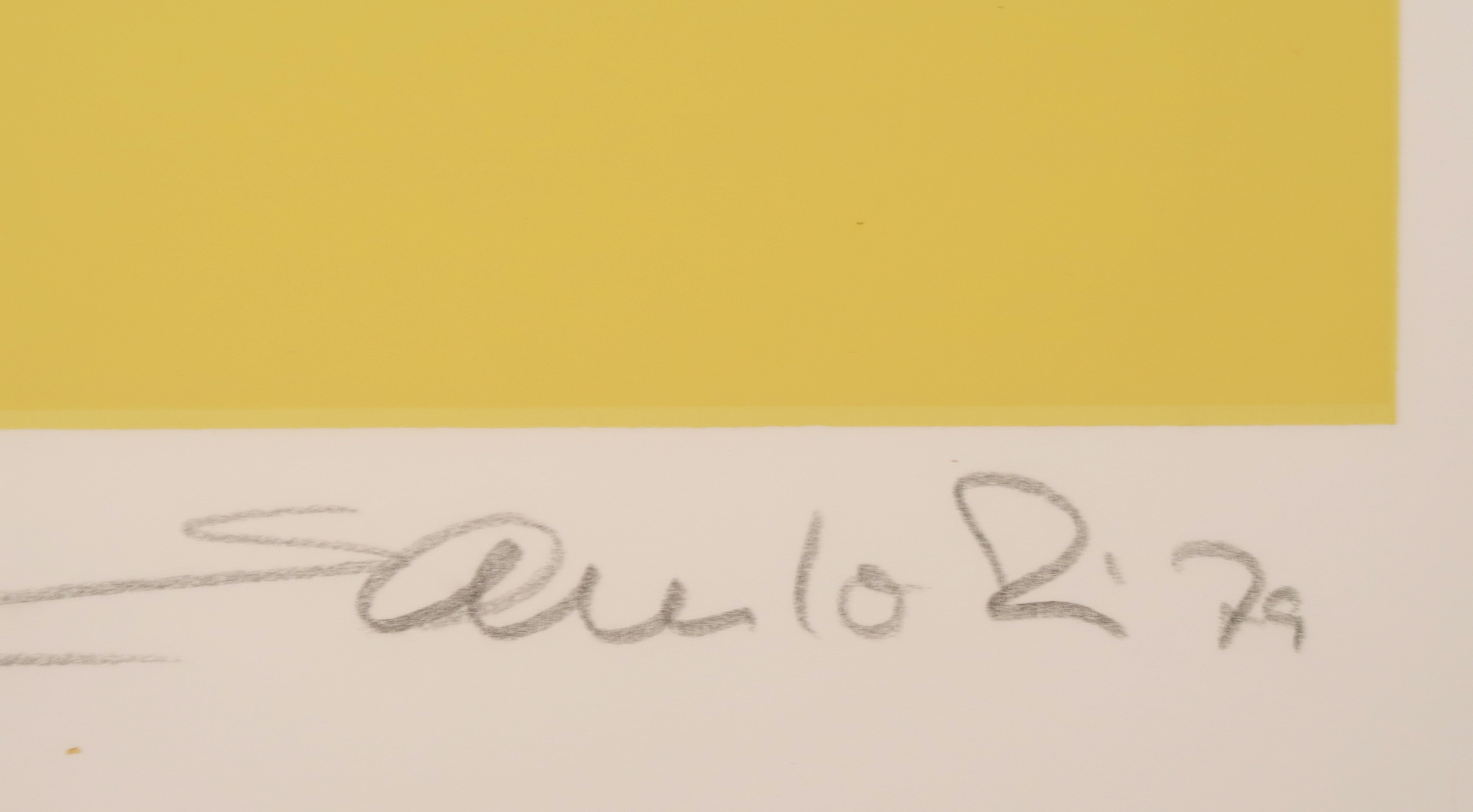 Niet of onleesbaar gesigneerd - Zeefdruk op stevig papier, Falling down  kopen? Bied vanaf 1!