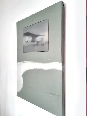 Erwin van Krey - Plane kopen? Bied vanaf 250!