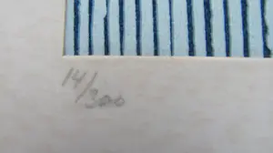 Leo Kools - Ierland kopen? Bied vanaf 15!