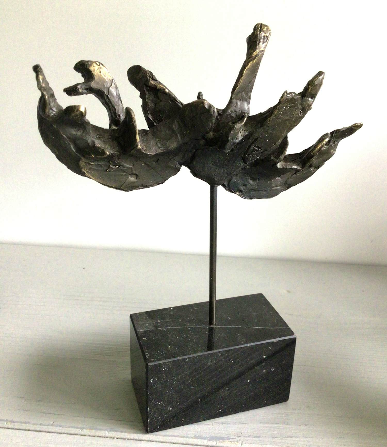 Bernadette Leijdekkers - “ Wilde Zwanen “ zeldzaam kopen? Bied vanaf 99!