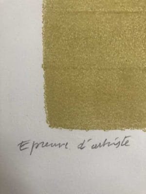 Corneille - Vol d'oiseux au printemps - 1960 kopen? Bied vanaf 350!