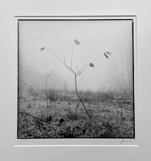 Ralph Janowski - Zonder titel kopen? Bied vanaf 30!