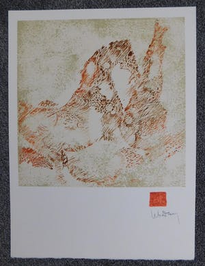 Dang Lebadang - Les Zèbres II kopen? Bied vanaf 25!