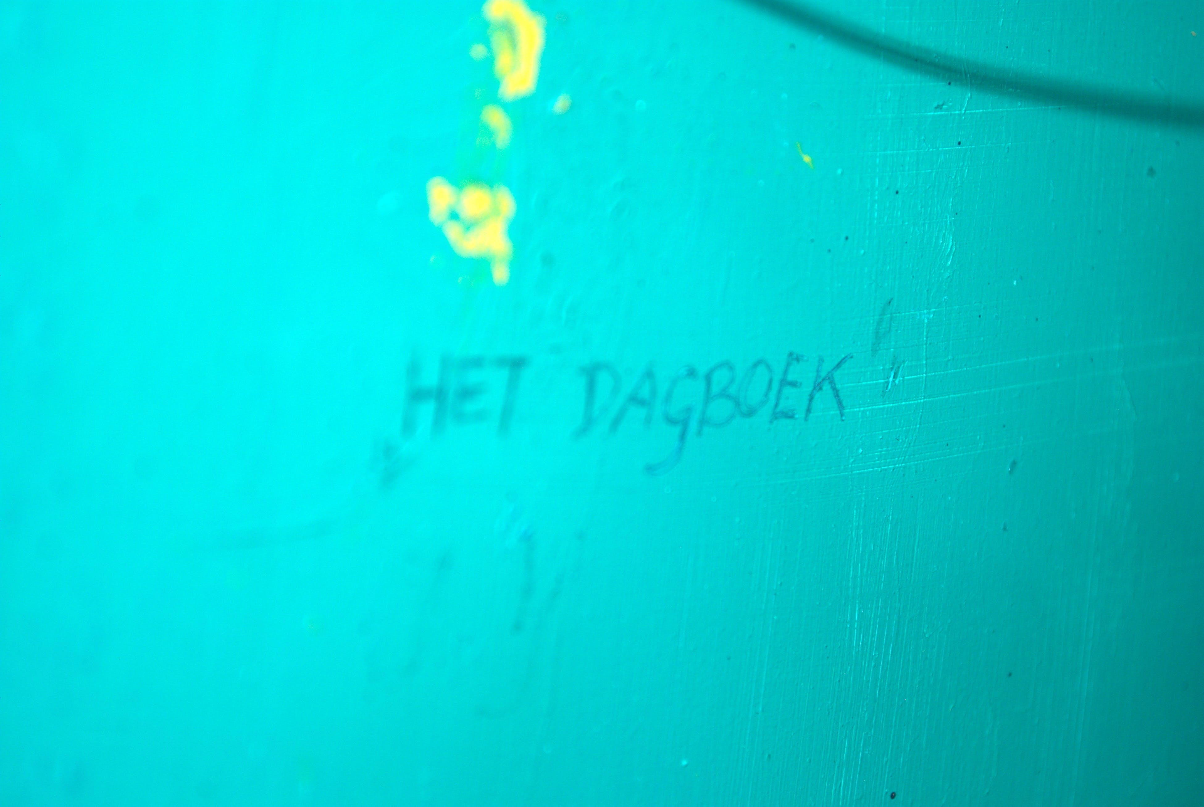 Josche Roverts - het dagboek - olieverf op paneel kopen? Bied vanaf 40!