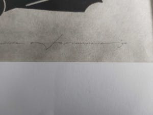 Leo van Nassau - ? zie foto kopen? Bied vanaf 50!