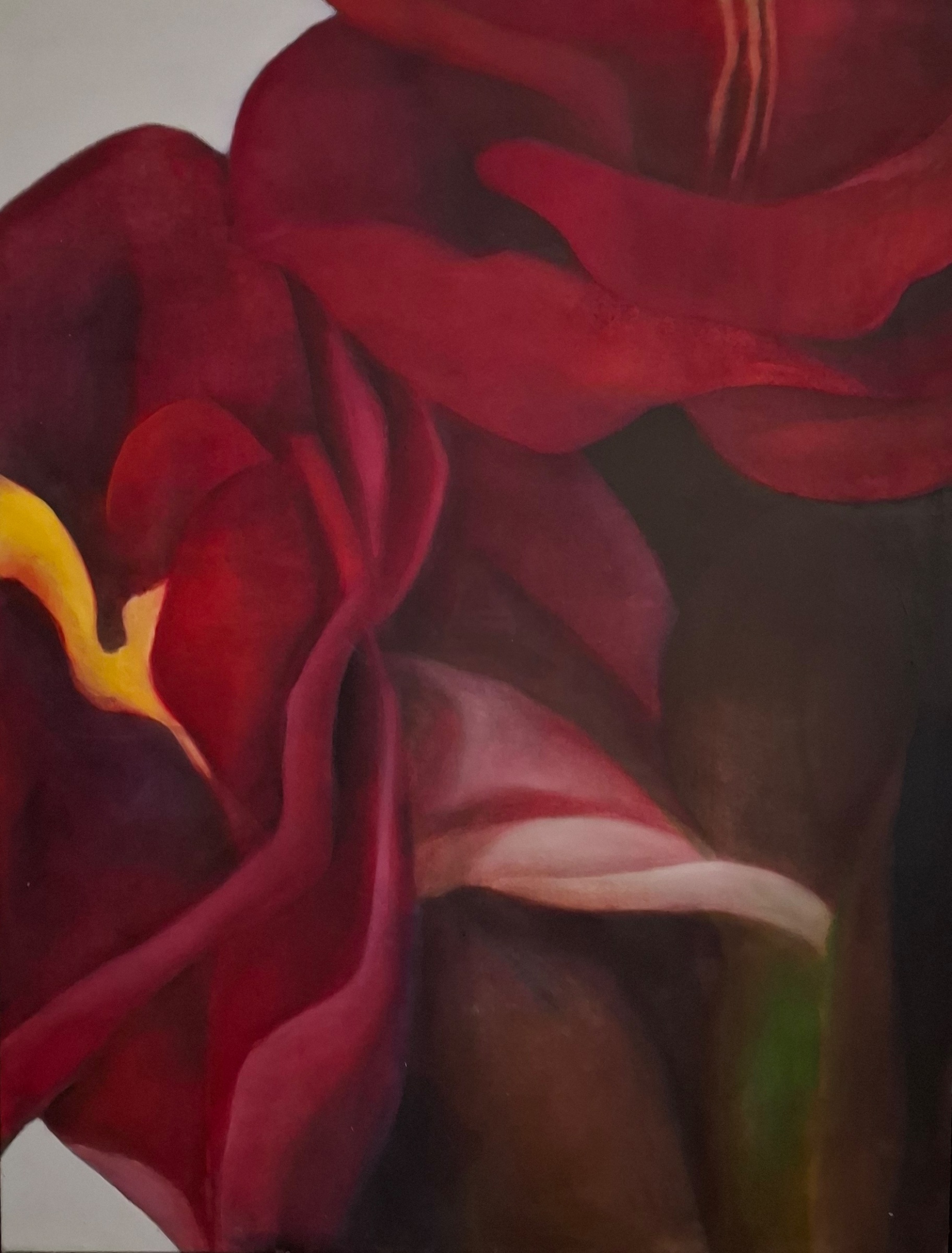Andrea Küster - Amaryllis kaufen? Bieten Sie von 250!