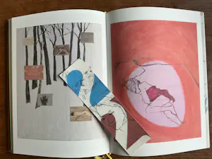 AcheterJasper Krabbé - Zeefdruk en boek in cassette? Enchérissez de 325!