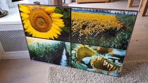 Paul Huf - C-print - zonnebloemen - ingelijst (groot) kopen? Bied vanaf 125!