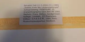 Salvador Dali - Purgutory Canto 25 kopen? Bied vanaf 40!