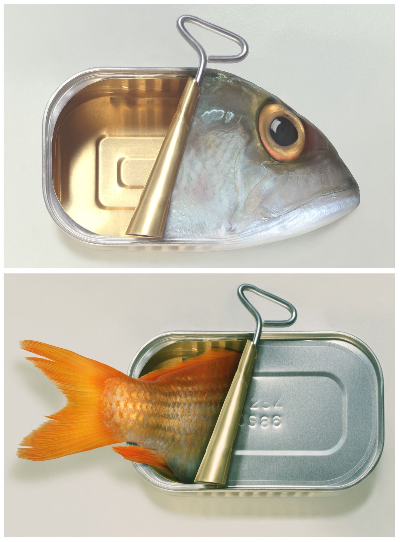 AcheterDominic Rouse - 'Fish Can & Fish Can't' (2011) - Twee prints? Enchérissez de 110!
