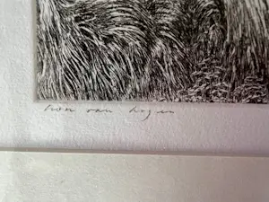 Han van Hagen - echtpaar kopen? Bied vanaf 100!