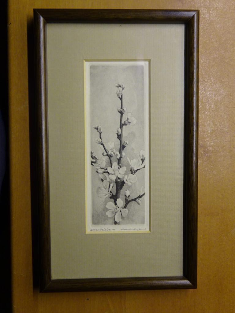 Maarten Langbroek - Amandelbloesem kopen? Bied vanaf 1!