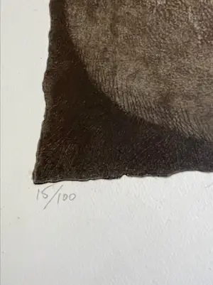 Manuel Menan - Manuel Menan kopen? Bied vanaf 5!