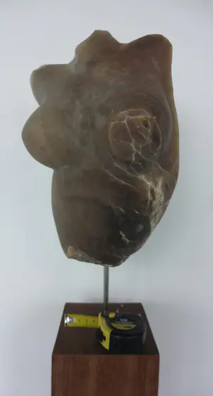 Angelo Moyano - Sculptuur van natuursteen / albast op houten sokkel, Vrouwentorso kopen? Bied vanaf 1500!