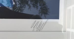 Karel Appel - Zeefdruk, Uit de 'Stripes' serie - 31/77 - handgesigneerd kopen? Bied vanaf 475!