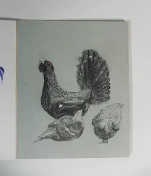 Niet of onleesbaar gesigneerd - Ernestine de Voogt gemengde techniek kopen? Bied vanaf 1!