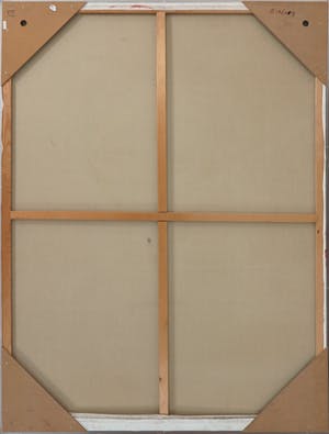 Stephan Kaluza - Olieverf op doek, in/achter mat perspex baklijst, Z.T. (Zeer groot) kopen? Bied vanaf 1!