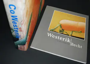 Co Westerik - monumentaal boek (cat. raisonné schilderijen) & extra boek kopen? Bied vanaf 60!