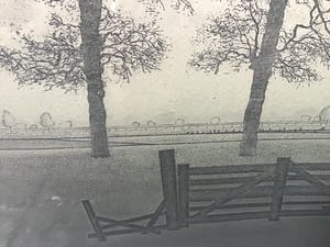 Hans Heijman - Polderlandschap kopen? Bied vanaf 1!