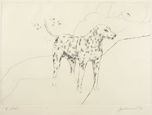 Jan Vanriet - Ets, Zonder titel kopen? Bied vanaf 20!