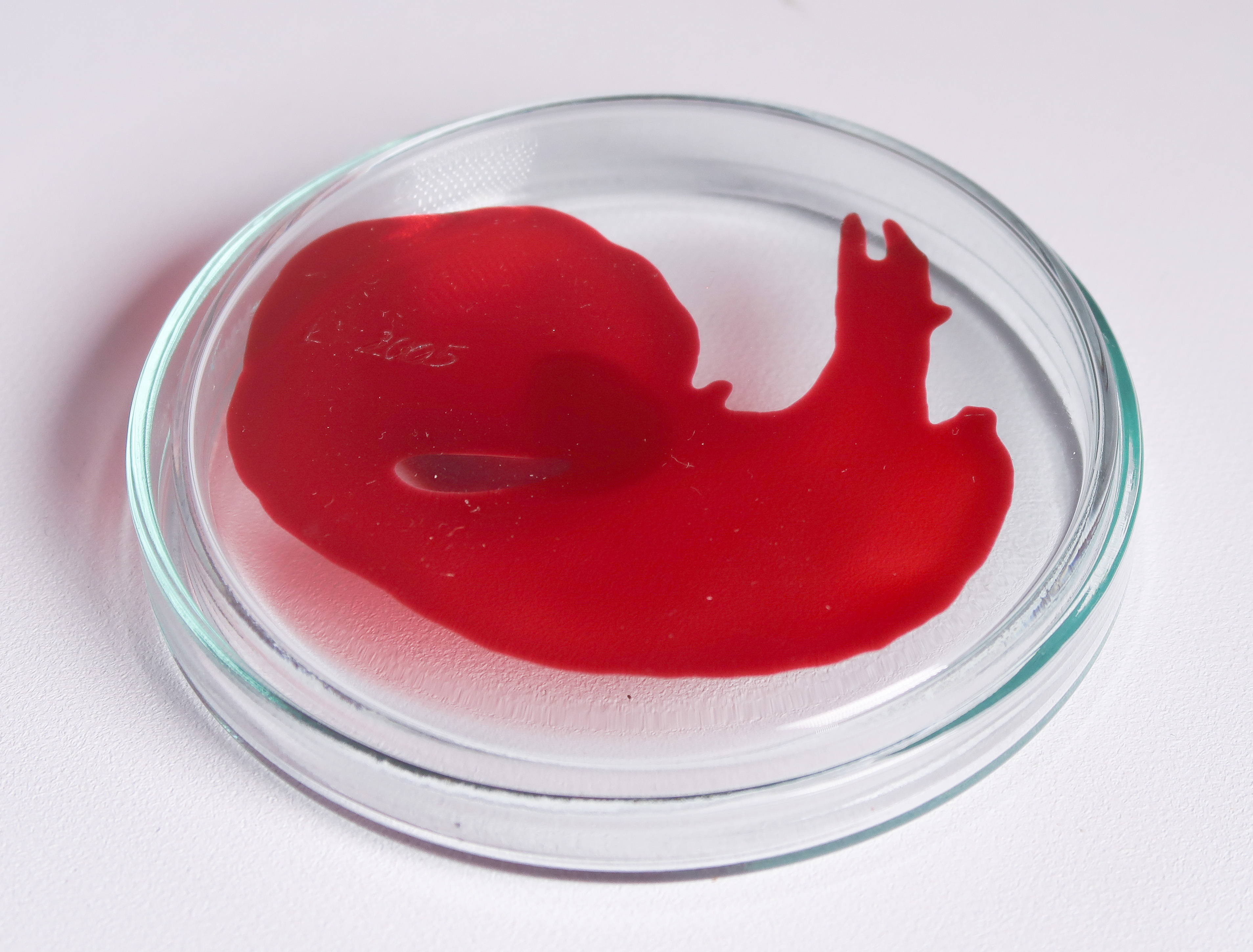 Lisette Verkerk - Beschilderd petrischaaltje, Origins kopen? Bied vanaf 1!