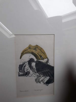 Elbert Ploos van Amstel - Neushoornvogels kopen? Bied vanaf 150!