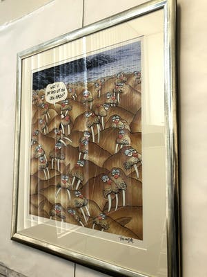 Toon van Driel - Wilt u die tand uit mijn oog halen? kopen? Bied vanaf 75!