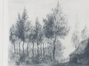 Suze de Lint - Heezenerbosch - Ets kopen? Bied vanaf 35!