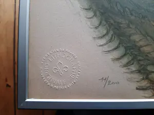 Francis de Lassus Saint-Genies - Litho, Jean de Arc kopen? Bied vanaf 35!