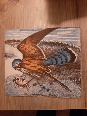Jos Ruting - 8 platen kopen? Bied vanaf 20!